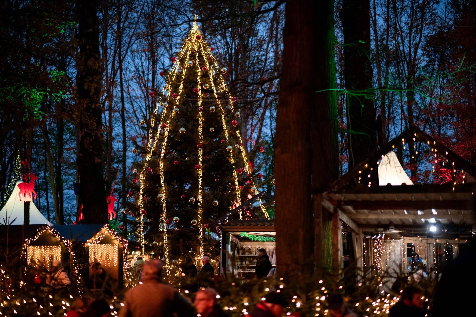 Light splendor and over 1000 fir trees: The Forest Christmas in Velen is a real highlight for romantics.