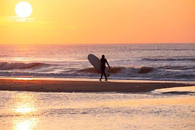 Bloemendaal is famous for its beach parties. But besides the turntables, it's all about beautiful nature.
