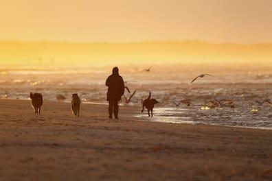 Ameland is a sandy paradise: The beach is a full 27 kilometers long and is considered particularly clean.