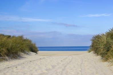 Dream view: Behind the dunes at Renesse unfolds a 17-kilometer-long sandy beach.