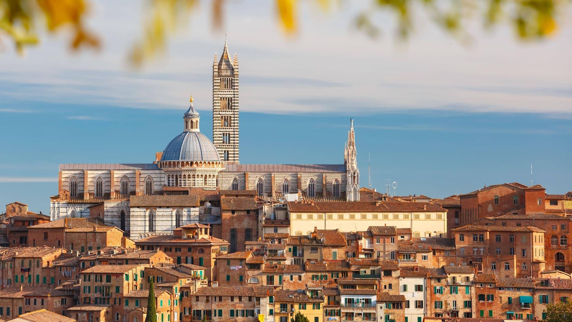 The Cathedral of Siena on a sunny day with autumnal leaves in the foreground.