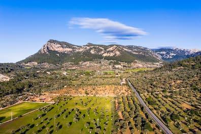 It doesn't get any greener: the mountain village of Valldemossa is popular with both nature and culture enthusiasts.