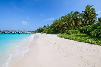The 'Kuramathi Island Resort' in the Rasdhoo Atoll is one of the largest and oldest resorts in the Maldives.