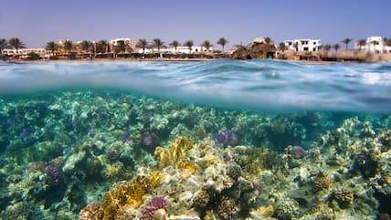 Marsa Alam in Egypt: Where Waves Meet Coral Reefs.
