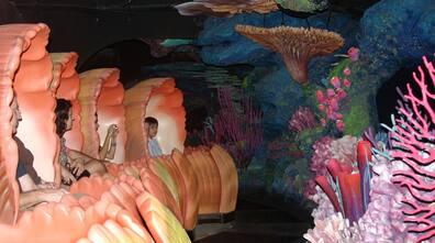 The Seas with Nemo and Friends attraction is inspired by the popular children's movie 'Finding Nemo'.