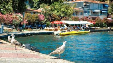 Burgazada delights with its literary heritage, serene beaches, and panoramic views from Bayrak Hill.