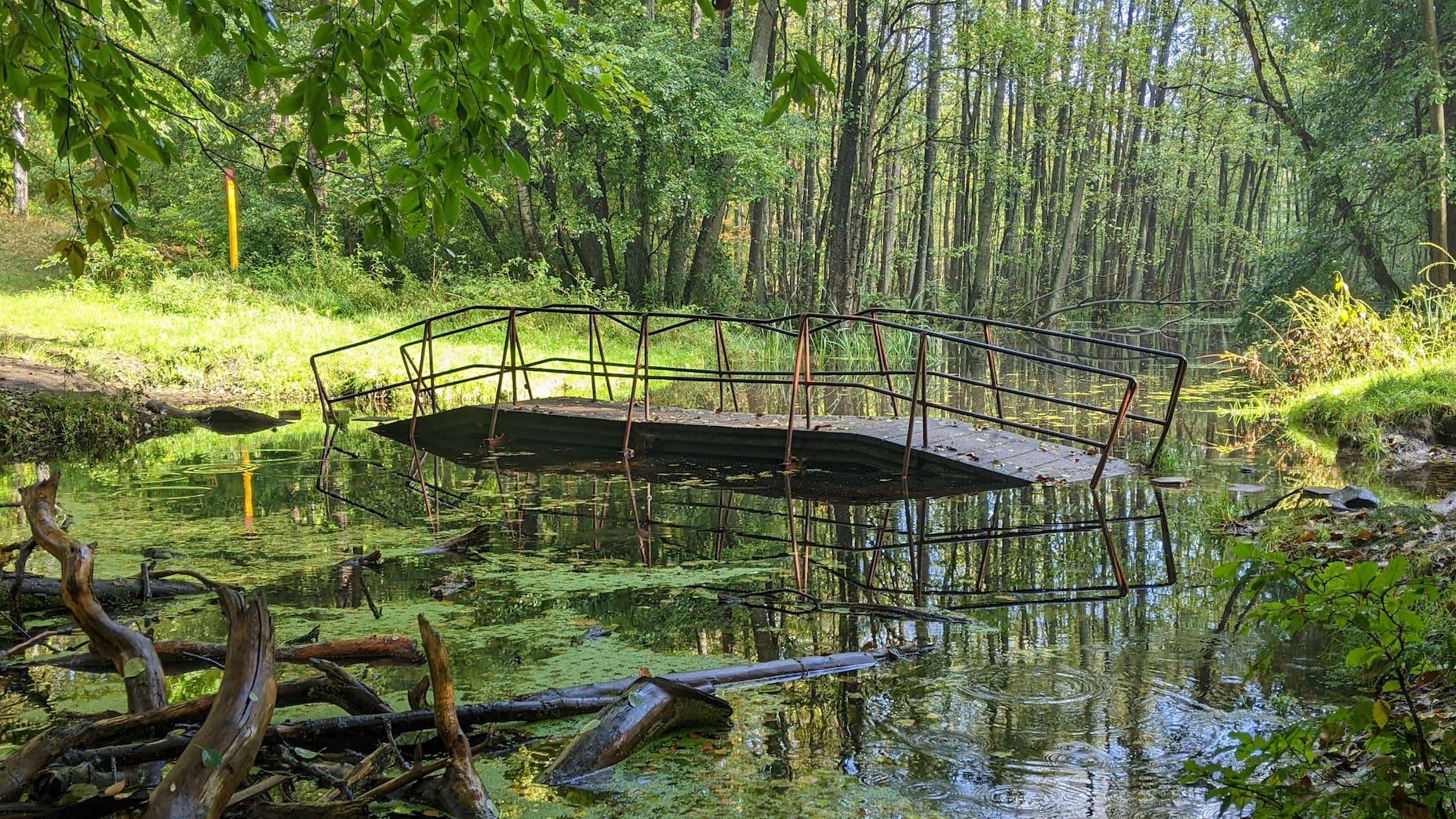 An old bridge is swept away by the river, with deadwood emerging from the water in the middle of the forest.