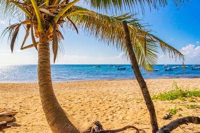 Find peace here - Playa del Carmen.