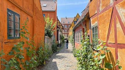 Old town alley with cobblestones in Helsingør with yellow and red half-timbered houses, with plants growing up their walls