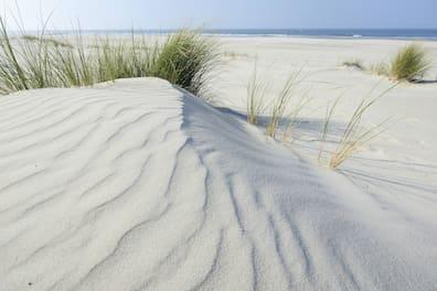 If you love the beach, you'll love Vlieland.