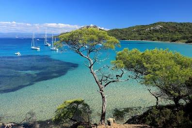 The Porquerolles Island is car-free and considered a natural paradise.