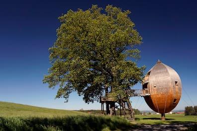 If you want to stay in a treehouse, you can also book through alternative portals.