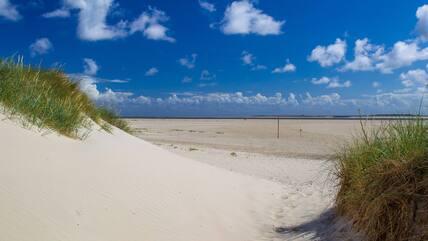 The Baltrum beach is about seven kilometers long.