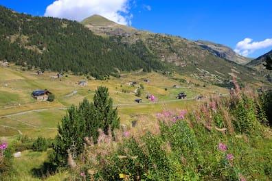 Hiking trails in a valley of the Pyrenees in Andorra