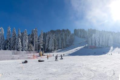 Skiers on a snowy, wooded slope in Borovets ski area, Bulgaria
