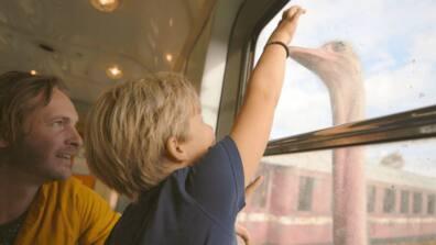 What an experience: At Wildlands Zoo, animal lovers can discover a wide range of animal residents.