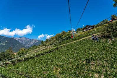 The best way to travel between Merano and Dorf Tirol is by the chairlift over the vineyards.