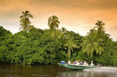 A characteristic feature of Tortuguero National Park is the intricate canal and lagoon landscape. You can also explore the national park and its wildlife well by taking a boat tour.