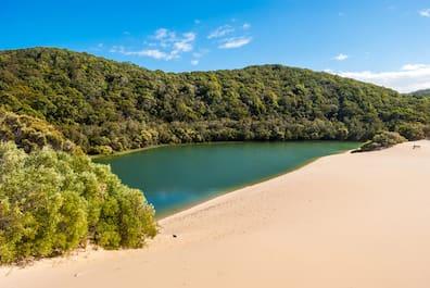 A lake with forest and sand