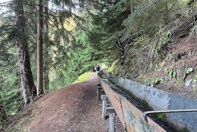 Many Suonen in Valais run in a metal bed.