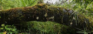 The eerie atmosphere grows and makes exploration frightening.