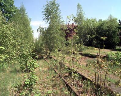You'll also pass by here: abandoned railway embankment in Dransfeld