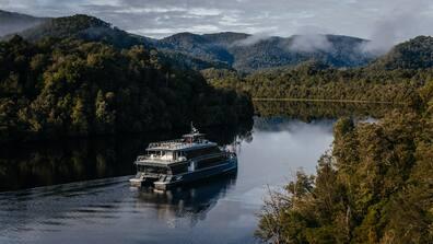What a natural spectacle: As the 'Spirit of the Wild' glides almost silently over the Gordon River, the trees and shrubs reflect on the smooth water surface, blurring the lines between sky and earth.