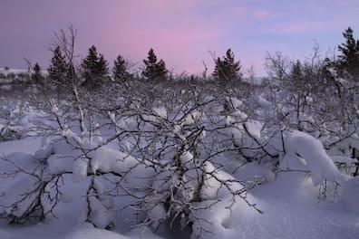 In the Finnish winter, everything is covered under a sparkling crust of snow.
