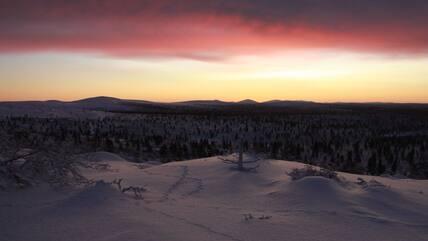 The sun can only reach just below the horizon during the Lapland winter.