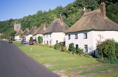 The village of Milton Abbas with its lined-up thatched houses.