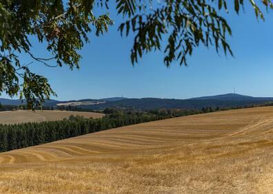Many hiking trails lead to Schneeberg, the highest mountain in the Fichtelgebirge.