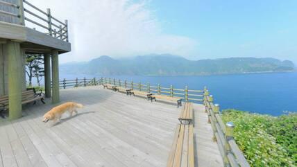 Never without the dog: To showcase the island of Jukdo via Google Street View, it was explored on foot. Always present is the Golden Retriever.