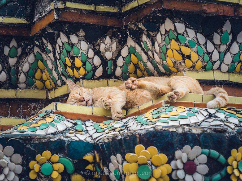 Bangkok Wat Pho chat