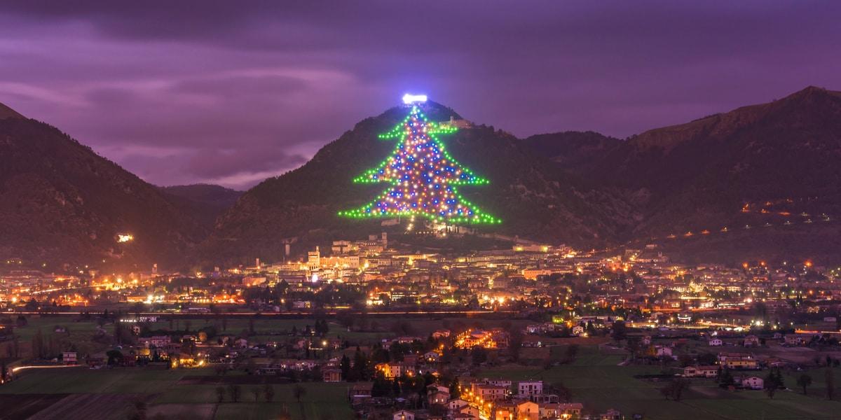albero-gubbio
