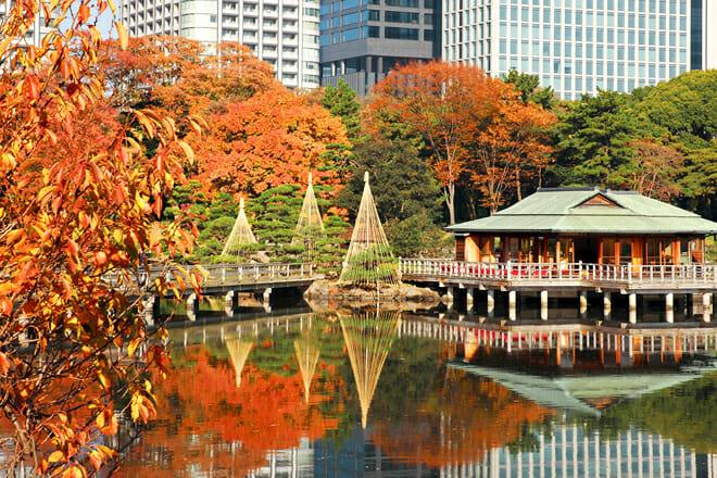 Hamarikyu Gardens — Chuo City