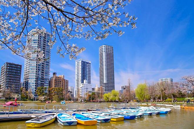 Tokyo Metropolitan Ueno Park — Taito City