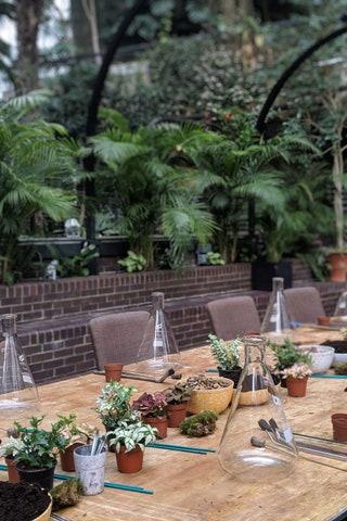 Terrariums with London Terrariums