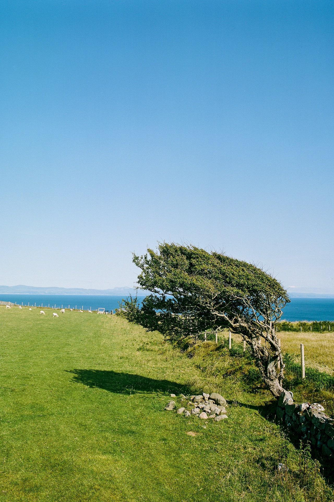 Cilan Head North Wales