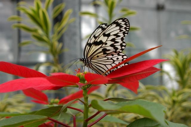 Parc des êtres vivants d'Adachi
